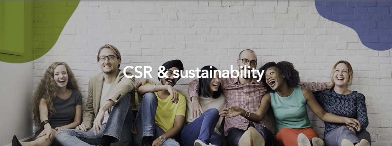 Web RSC everis